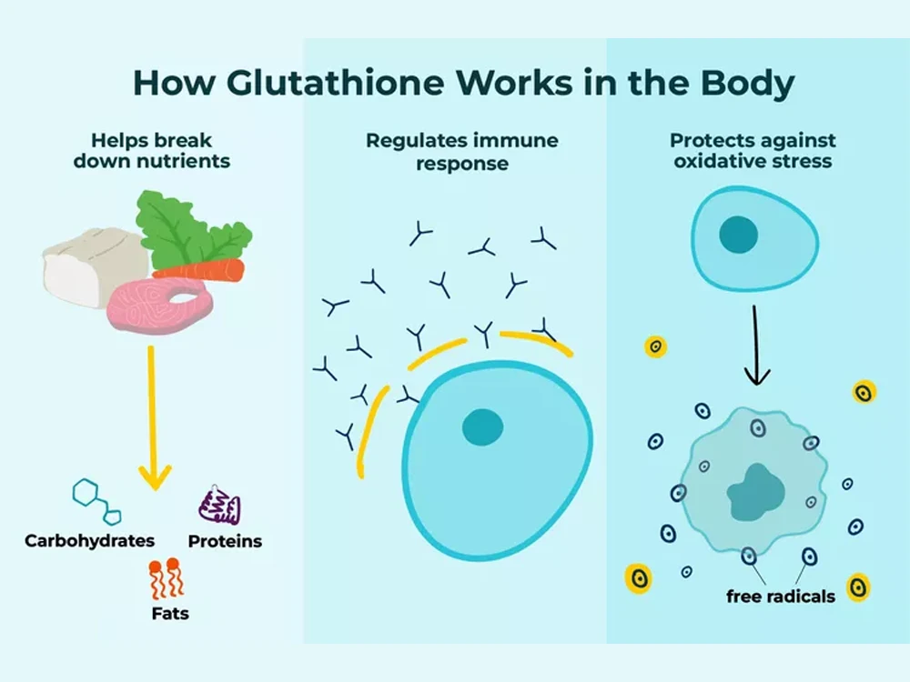 how glutathione works