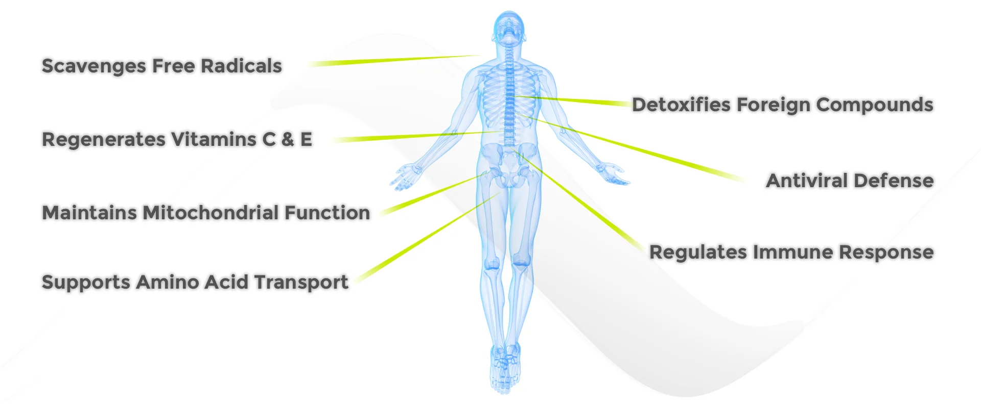 Glutathione Benefits