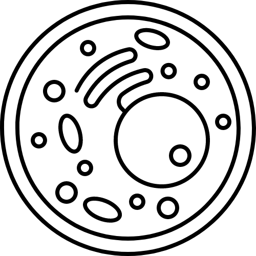 Cellular Health