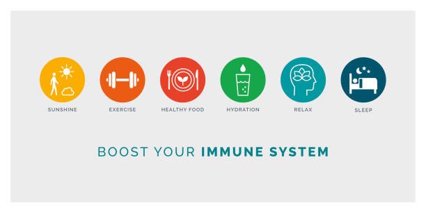 Immune system