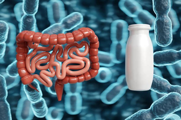 Digestive Health: Can It Help with IBS and Gut Issues?