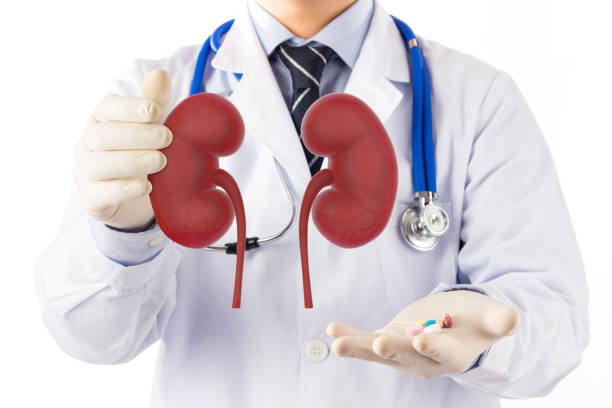 The Connection Between Glutathione and Healthy Kidneys: How Cellgevity Helps